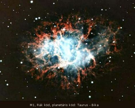 m1-rakkod.jpg